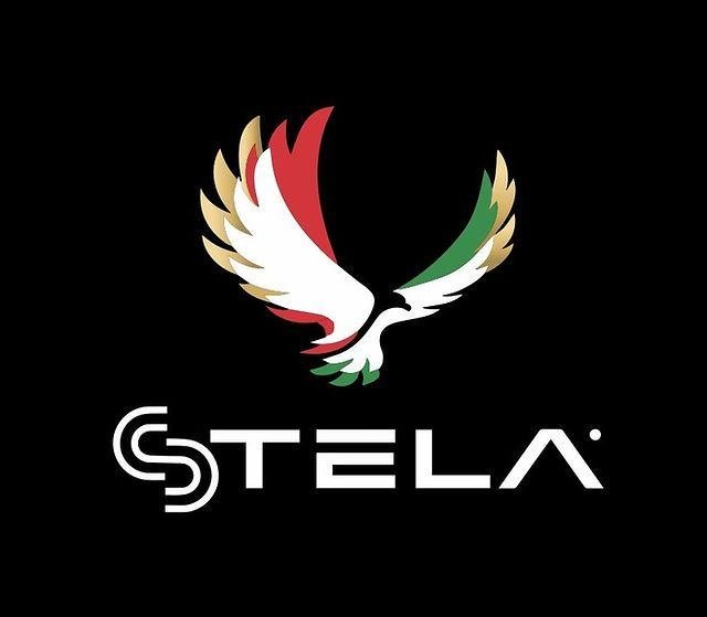 STELA partner organisation logo